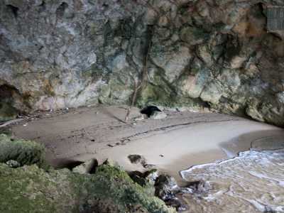 Il rifugio, avvolto nella semioscurit�, ospita al centro una spiaggia fatta di sabbia sottile molto chiara, circondata da rocce cesellate e da un soffitto quasi liscio, scavato dalla forza delle onde nel corso del tempo, che riuscirebbe a ospitare non pi� di una decina di persone
